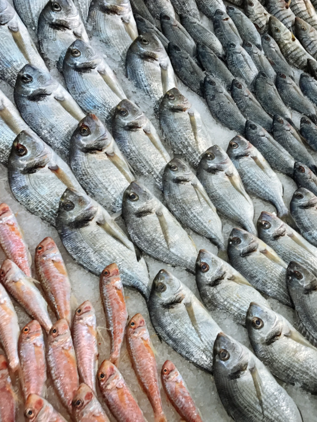 Hubli Fish Market: A Seafood Lover’s Dream Come True!